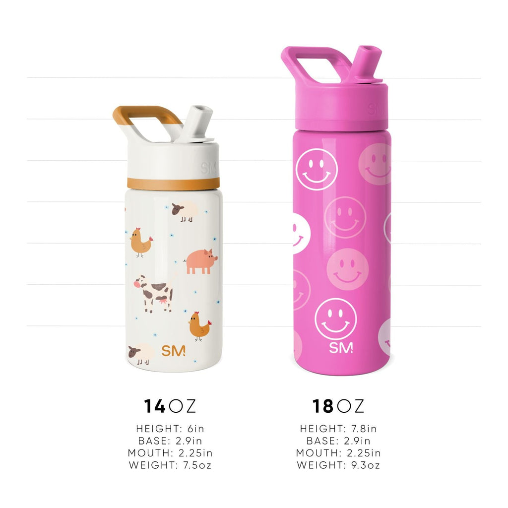 Summit Water Bottle with Straw Lid