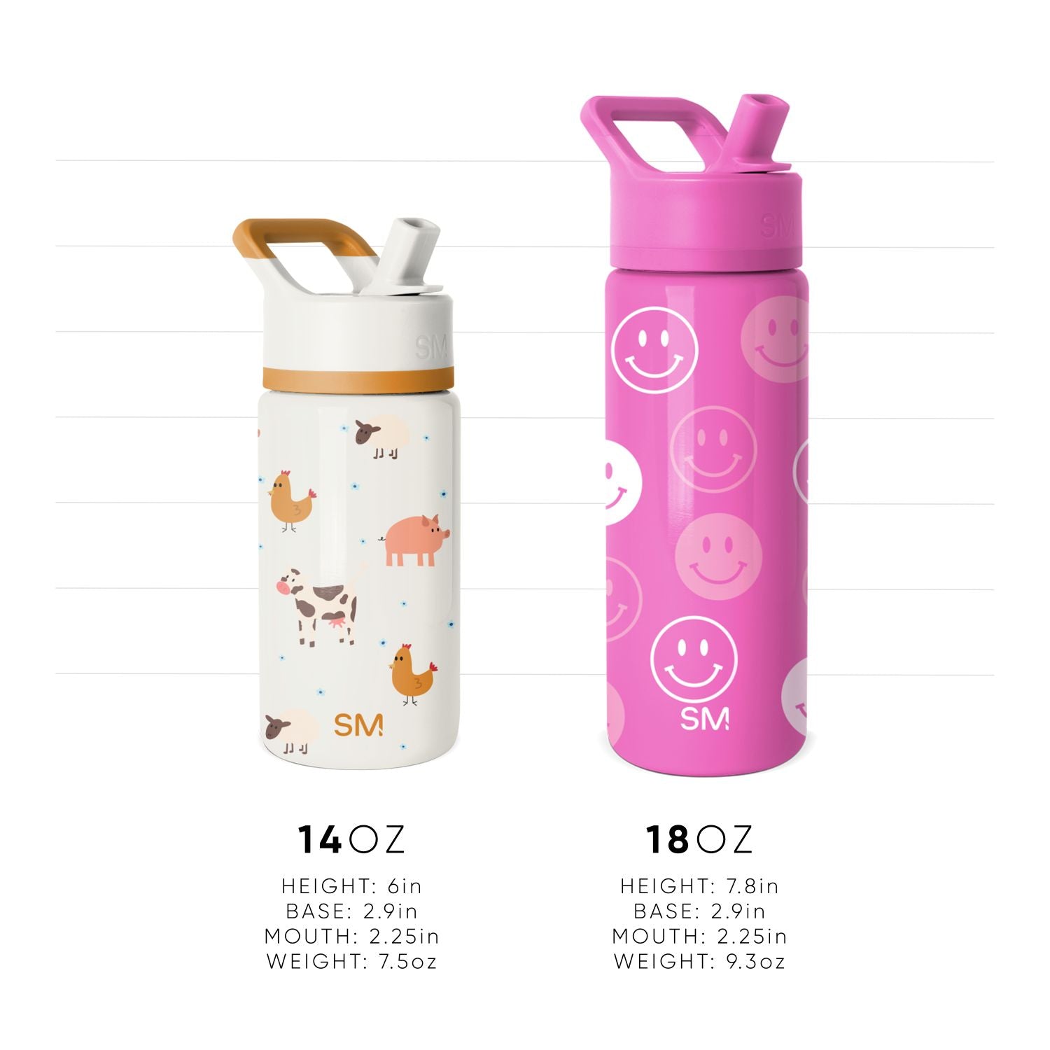 Summit Water Bottle with Straw Lid